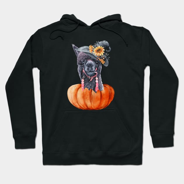 Cute Llama Halloween LLama Alpaca Halloween Pumpkin Funny Hoodie by Sniffist Gang